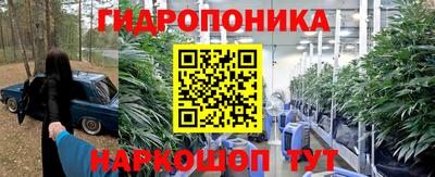 каннабис Будённовск