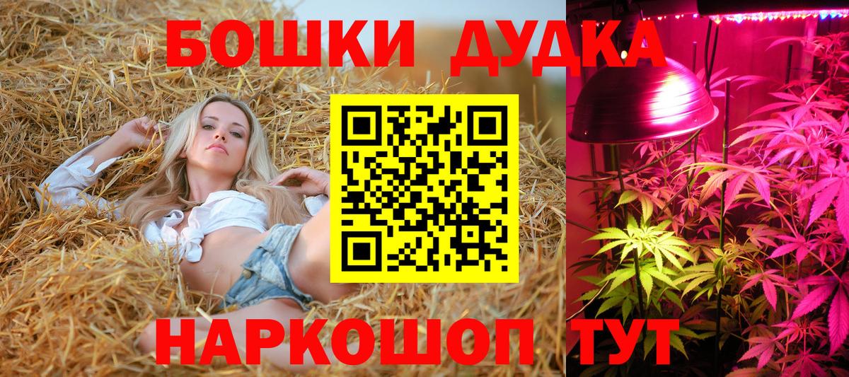 Канабис план Лыткарино